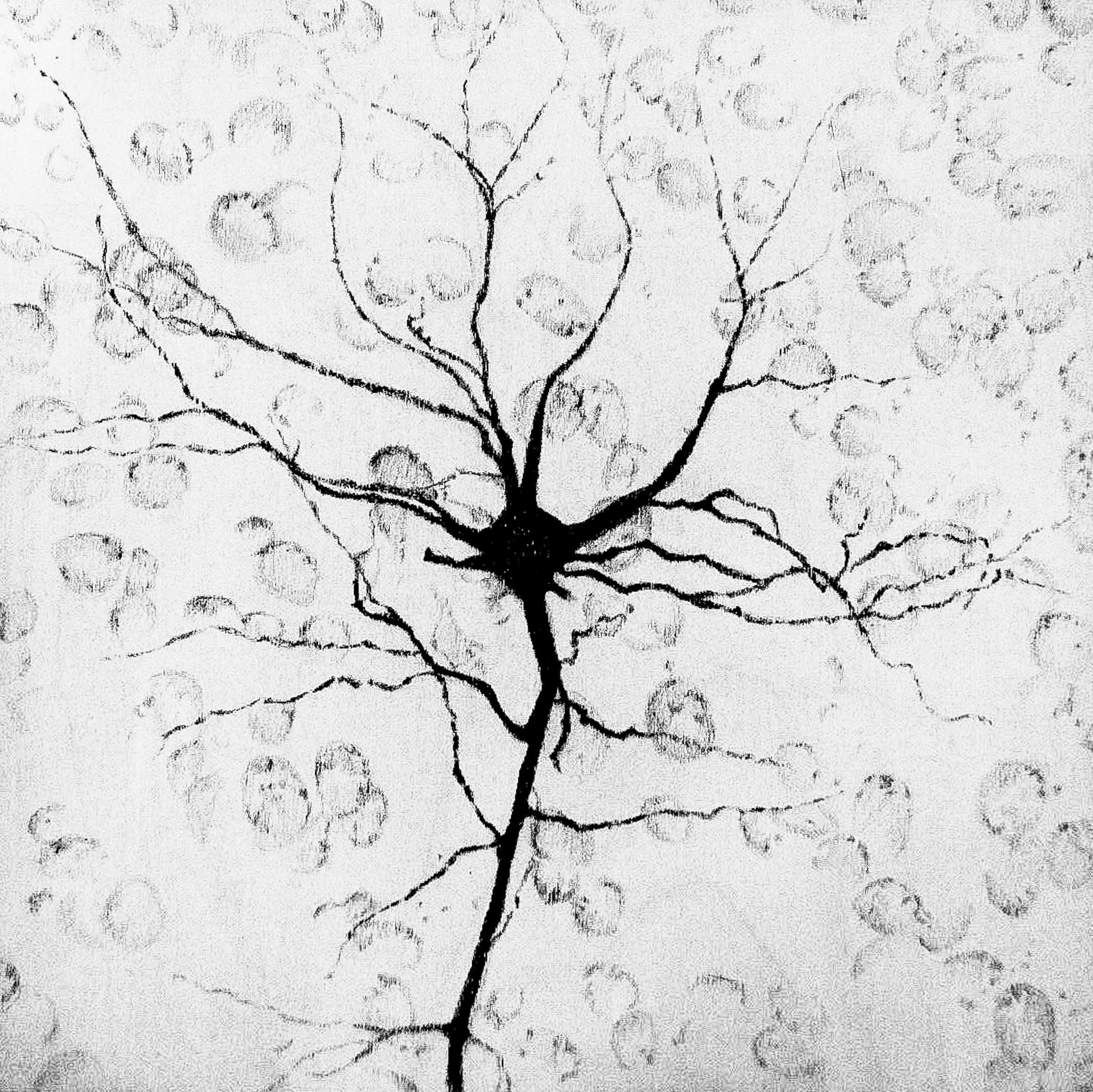 Neuron, Deborah McColl.